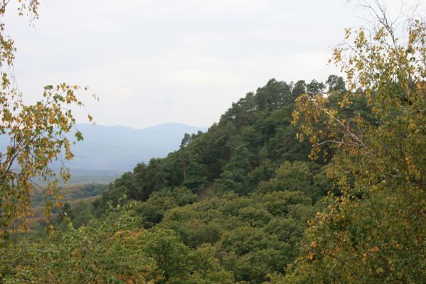 Veľký Klíž, 8.10.2016
Vrch Malá Suchá.
Schlüsselwörter: Veľký Klíž vrch Malá Suchá