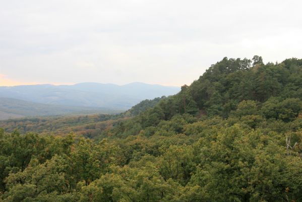 Veľký Klíž, 8.10.2016
Vrch Malá Suchá.
Klíčová slova: Veľký Klíž vrch Malá Suchá Tríbeč