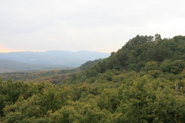 Veľký Klíž, 8.10.2016
Vrch Malá Suchá.
Keywords: Veľký Klíž vrch Malá Suchá Tríbeč