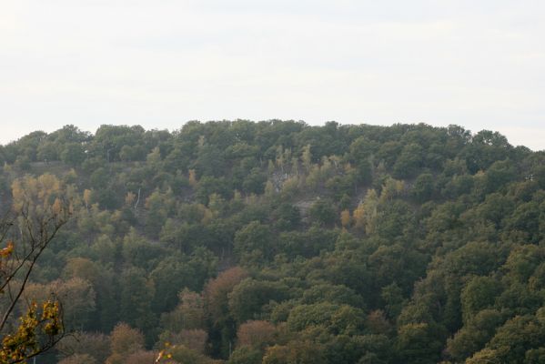 Veľký Klíž, 8.10.2016
Pohled z vrchu Veľká Suchá na Malou Suchou.
Klíčová slova: Veľký Klíž vrch Veľká Suchá Malá Suchá