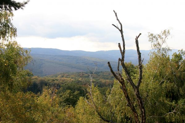 Veľký Klíž, 8.10.2016
Vrch Malá Suchá - pohled na Tríbeč.
Keywords: Veľký Klíž vrch Malá Suchá Tríbeč
