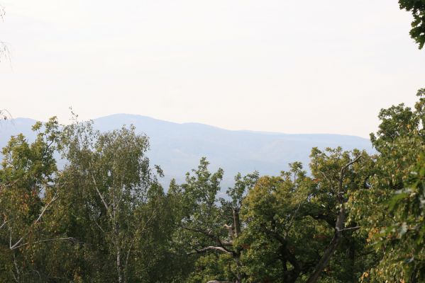 Veľký Klíž, 8.10.2016
Vrch Malá Suchá - pohled na Tríbeč. 
Mots-clés: Veľký Klíž vrch Veľká Suchá Tríbeč