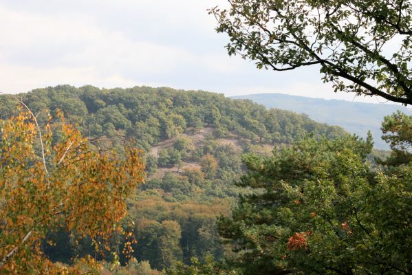 Veľký Klíž, 8.10.2016
Vrch Malá Suchá - pohled na Veľkou Suchou.
Klíčová slova: Veľký Klíž vrch Veľká Suchá Malá Suchá