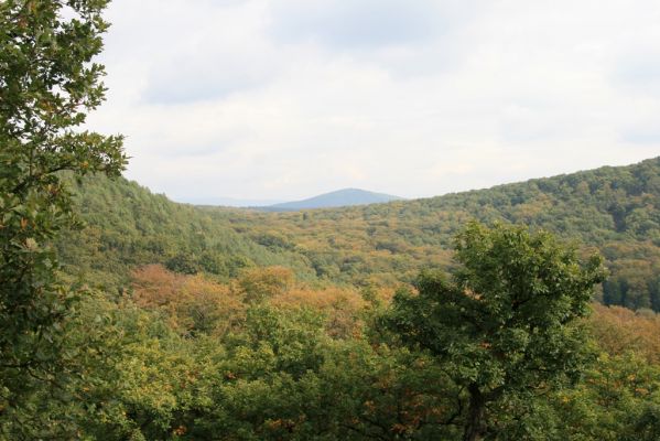 Veľký Klíž, 8.10.2016
Vrch Malá Suchá - pohled na Veľký Vracov.
Klíčová slova: Veľký Klíž vrch Veľký Vracov Malá Suchá
