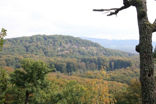 Veľký Klíž, 8.10.2016
Vrch Malá Suchá - pohled na Veľkou Suchou.
Klíčová slova: Veľký Klíž vrch Veľká Suchá Malá Suchá
