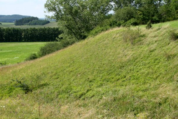 Velký Vřešťov, 27.7.2007
Step severovýchodně od obce. Biotop kovaříka Agriotes gallicus a zároveň domov neuvěřitelného množství druhů stepních pavouků.
Mots-clés: Velký Vřešťov step Agriotes gallicus