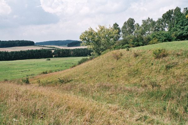 Velký Vřešťov, 27.8.2006
Rozsáhlé stepi na svazích severovýchodně od obce. Formace suchých trávníků jsou biotopem kovaříka Agriotes gallicus. Pohled na naleziště tohoto druhu. Ve Velkém Vřešťově byl sbírán entomologem Jar. Čejkou již v roce 1927.
Schlüsselwörter: Velký Vřešťov step Agriotes gallicus Athous bicolor