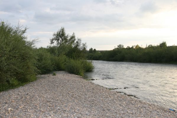 Bolešov, 8.8.2017
Štěrkové náplavy Váhu.
Schlüsselwörter: Bolešov Váh