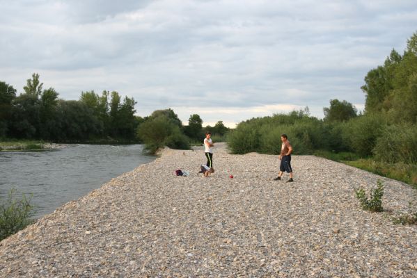 Bolešov, 8.8.2017
Štěrkové náplavy Váhu.
Keywords: Bolešov Váh Zorochros dermestoides quadriguttatus