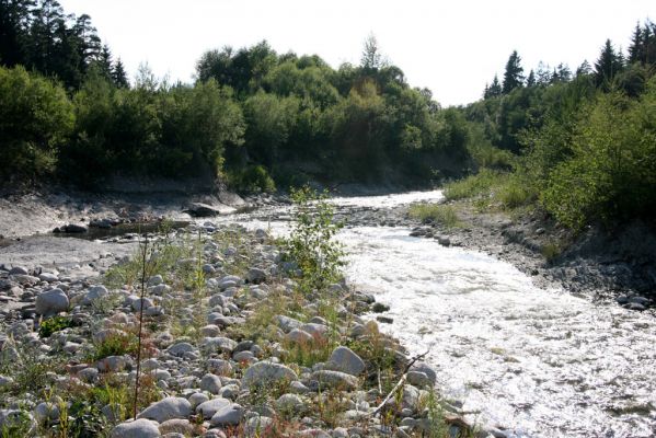 Vavrišovo, 3.8.2013
Štěrkové náplavy v meandrech řeky Belé pod autokempem.



Schlüsselwörter: Vavrišovo Belá Zorochros dermestoides meridionalis