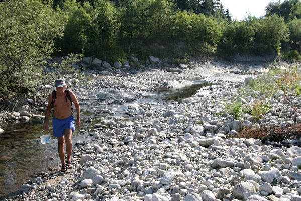 Vavrišovo, 3.8.2013
Štěrkové náplavy v meandrech řeky Belé pod autokempem.


Schlüsselwörter: Vavrišovo Belá Zorochros dermestoides meridionalis Kašovský