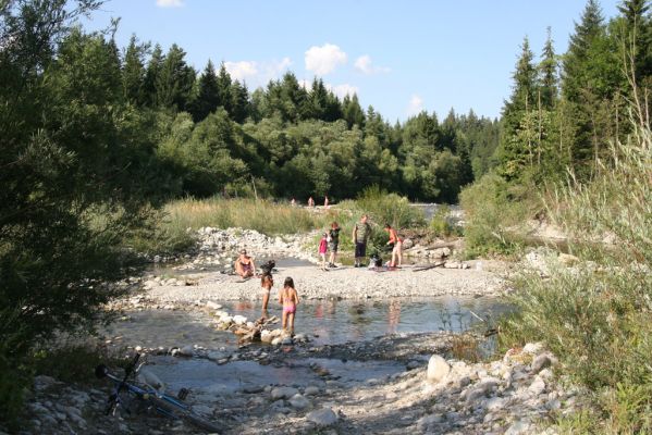 Vavrišovo, 3.8.2013
Štěrkové náplavy v meandrech řeky Belé pod autokempem.



Schlüsselwörter: Vavrišovo Belá