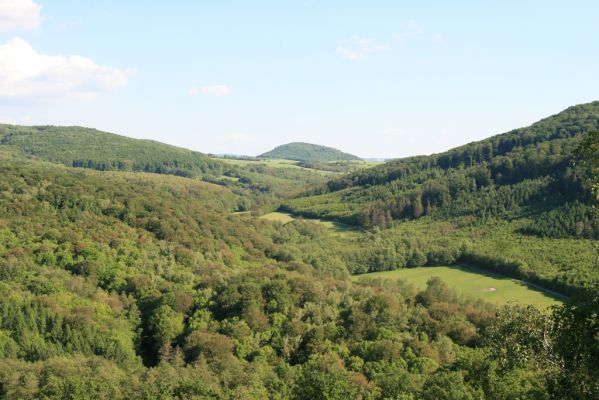 Veľký Klíž, 21.5.2016
Vrch Veľká Suchá - jihovýchodní svah. Pohled ke Skýcovu na vrch Kruh.
Klíčová slova: Veľký Klíž vrch Veľká Suchá Skýcov Kruh