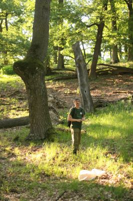 Veľký Klíž, 21.5.2016
Suťový les na vrchu Veľká Suchá.
Klíčová slova: Veľký Klíž vrch Veľká Suchá Čepelák