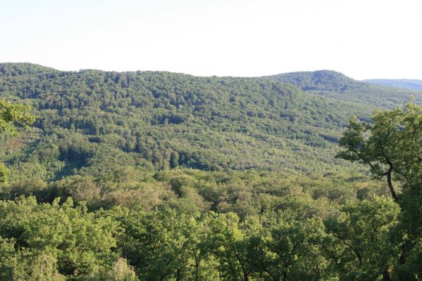 Veľký Klíž, 21.5.2016
Vrch Veľká Suchá - pohled na jih na Bralá a Prostrednú skalu.
Klíčová slova: Veľký Klíž vrch Veľká Suchá Bralá Prostredná skala