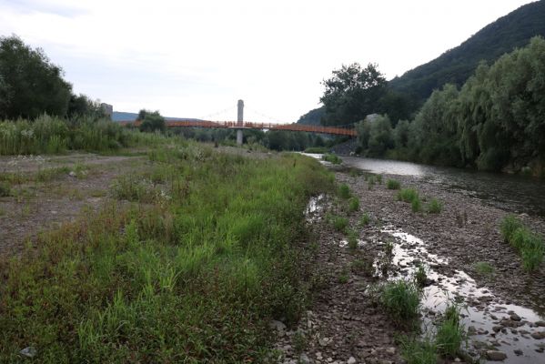 Veľký Šariš, 29.7.2020
Štěrkové náplavy Torysy pod Šarišským hradným vrchom. 
Schlüsselwörter: Veľký Šariš Šarišský hradný cyklomost Torysa