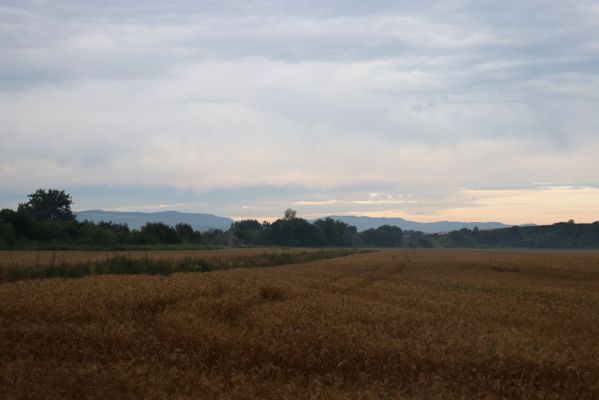 Veľký Šariš, 29.7.2020
Lazy, pohled na Šarišský hradný cyklomost a Levočské vrchy.
Schlüsselwörter: Veľký Šariš Lazy Levočské vrchy Šarišský hradný cyklomost