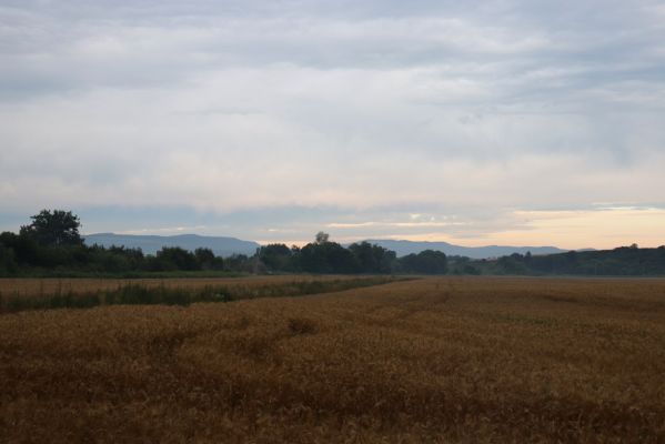 Veľký Šariš, 29.7.2020
Lazy, pohled na Šarišský hradný cyklomost a Levočské vrchy.
Schlüsselwörter: Veľký Šariš Lazy Levočské vrchy Šarišský hradný cyklomost