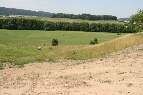 Velký Vřešťov, 19.7.2015
Step severovýchodně od obce. Pohled na zdevastovanou část.



Klíčová slova: Velký Vřešťov step Agriotes gallicus