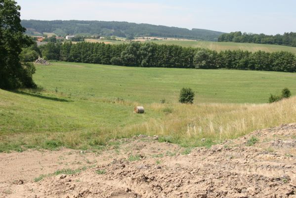 Velký Vřešťov, 19.7.2015
Step severovýchodně od obce. Pohled na zdevastovanou část.


Klíčová slova: Velký Vřešťov step Agriotes gallicus Athous bicolor