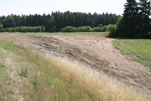 Velký Vřešťov, 19.7.2015
Step severovýchodně od obce. Pohled na zdevastovanou část.



Keywords: Velký Vřešťov step Agriotes gallicus