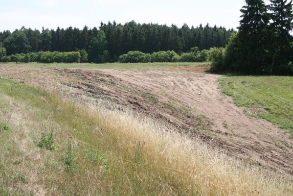 Velký Vřešťov, 19.7.2015
Step severovýchodně od obce. Pohled na zdevastovanou část.



Klíčová slova: Velký Vřešťov step Agriotes gallicus