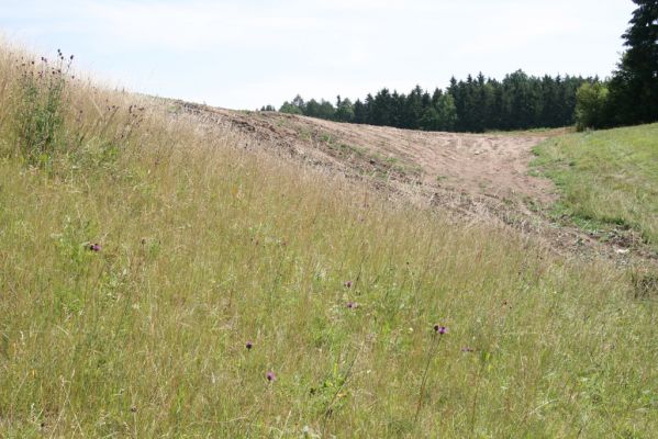 Velký Vřešťov, 19.7.2015
Step severovýchodně od obce. V pozadí zdevastovaná část stepi.


Mots-clés: Velký Vřešťov step Agriotes gallicus