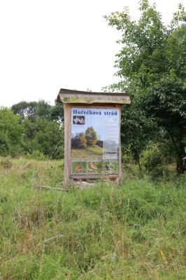 Velký Vřešťov, 28.7.2021
Hořečková stráň.
Keywords: Velký Vřešťov Hořečková stráň