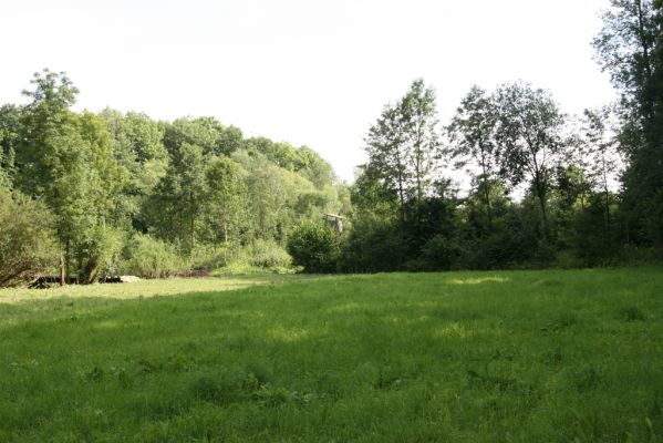 Velký Vřešťov, 31.7.2012
Vřešťovská bažantnice. Louka u Trotiny.


Klíčová slova: Velký Vřešťov Vřešťovská bažantnice