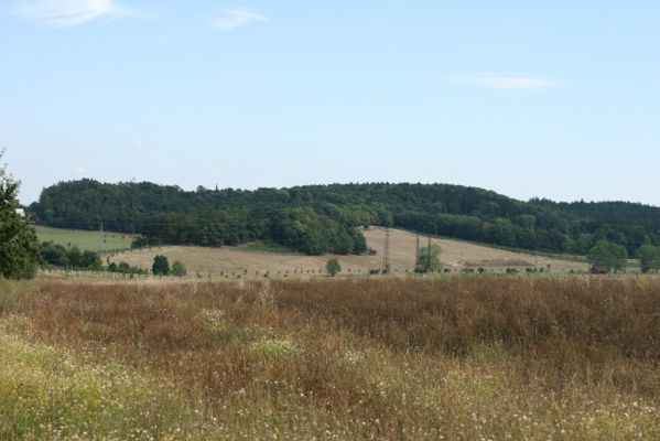 Velichovky, 19.8.2008
Velichovky - obora. Na jižním svahu Panského lesa vzniká díky aktivní pastvě nová stepní zóna.
Mots-clés: Velichovky obora pastvina