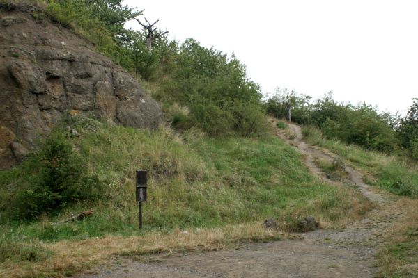 Podhradí - Veliš, 15.8.2007
Step u výstupové cesty na vrchol. Cestu lemují mrtvá torza kmenů třešní. V současné době je vrchol neudržovaný a zpustlý jako tvář bezdomovce...
Schlüsselwörter: Jičín Podhradí Veliš step třešňovka