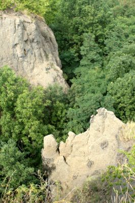 Podhradí - Veliš, 15.8.2007
Pohled z vrcholu na zerodovaný masiv sopouchu.
Schlüsselwörter: Jičín Podhradí Veliš