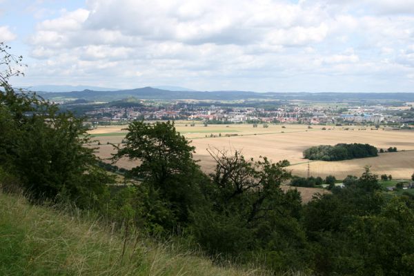 Podhradí - Veliš, 26.7.2009
Velišské stepi - jižní svah vrchu Veliš. Pohled k Jičínu.
Keywords: Podhradí Veliš