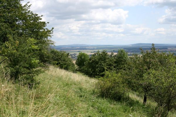 Podhradí - Veliš, 26.7.2009
Velišské stepi - mizející vzpomínka na slavnější časy tohoto kraje... 
Klíčová slova: Podhradí Veliš