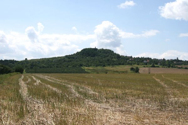 Podhradí - Veliš, 26.7.2009
Pohled na vrch Veliš od severu.
Schlüsselwörter: Podhradí Veliš Anthaxia candens