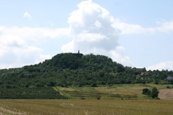 Podhradí - Veliš, 26.7.2009
Pohled na vrch Veliš od severu.
Schlüsselwörter: Podhradí Veliš Anthaxia candens