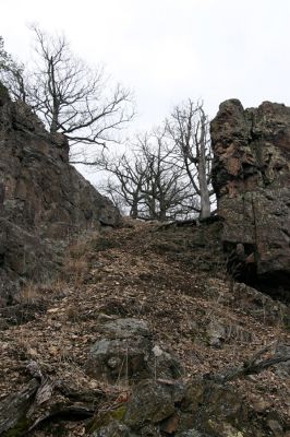 Karlova Ves - rezervace Velká Pleš, 30.3.2009
Suťový les na jihozápadních svazích Velké Pleše.
Schlüsselwörter: Křivoklátsko Velká Pleš