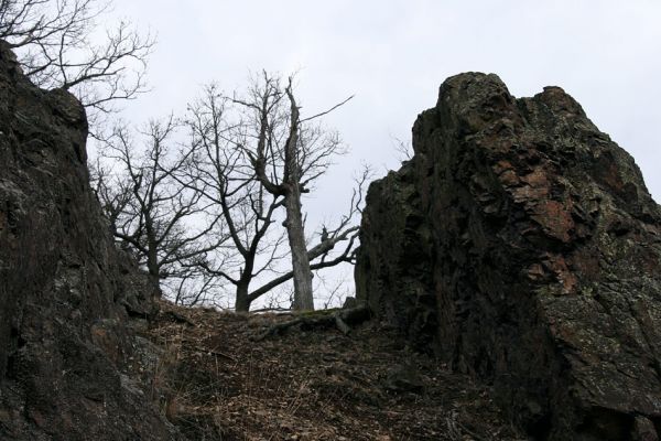 Karlova Ves - rezervace Velká Pleš, 30.3.2009
Skaliska na jihozápadních svazích Velké Pleše.
Keywords: Křivoklátsko Velká Pleš