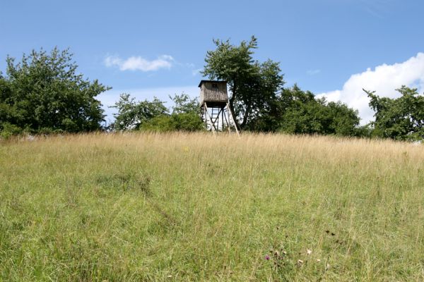 Velká Jesenice, 20.7.2008
Pohled na nejzachovalejší komplex stepních porostů, rozkládajících se východně od obce na svazích nad říčkou Rozkoší. Biotop kovaříka Agriotes gallicus.
Keywords: Velká Jesenice údolí Rozkoše Agriotes gallicus