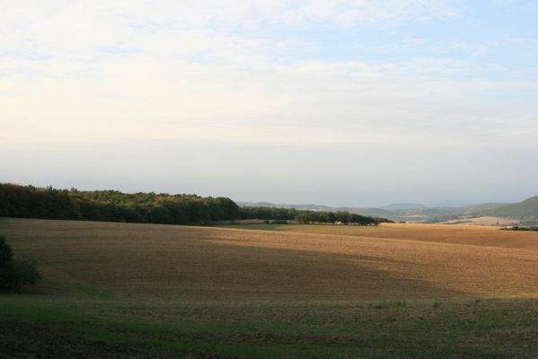 Veľký Blh, 29.9.2012
Horný Červený les (Vereš). Zarostlý pastevní les - pohled od jihu na jeho východní okraj.


Klíčová slova: Veľký Blh Nagybalog Vereš Horný Červený les