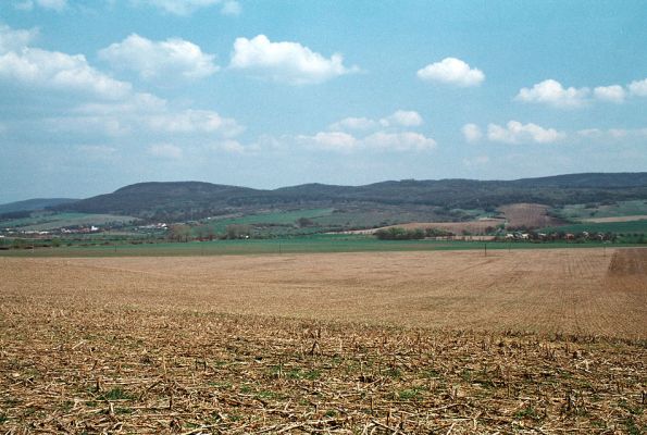 Veľký Blh - Čierna obora, 22.4.2006
Les, ktorý obklopuje zrúcaniny hradu Blh, tzv. Čierna obora, je od r. 1966 zverinec. Čierna obora, Vereš a Malá obora jsou tři důležitá biocentra v okolí Veľkého Blhu. Na jejich zachování a prosperitě je životně závislá praktická ochrana arborikolních druhů tohoto regionu. Pohled z východního okraje rezervace Vereš. 
Mots-clés: Veľký Blh Nagybalog Čierna obora Limoniscus violaceus Ampedus hjorti cardinalis praeustus quadrisignatus Lacon guerceus