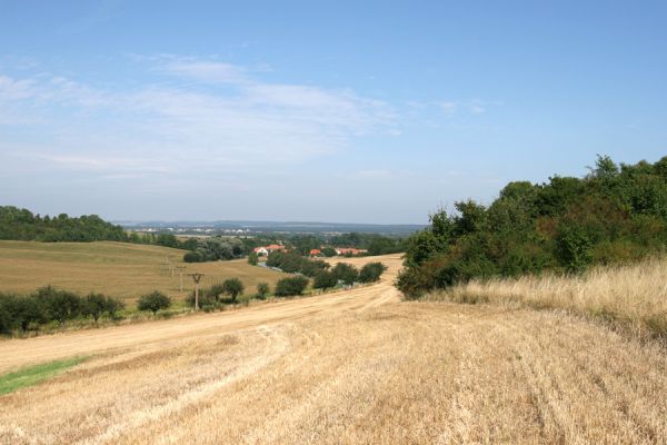 Vinarské stepi, 6.9.2008
Okraj stepi na západním svahu v údolí mezi obcí Vinary a Mravín. Pohled na sever k obci Vinary.
Keywords: Vinary Mravín step