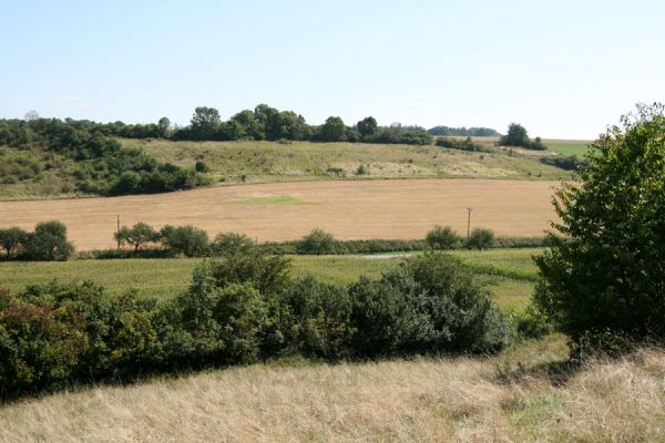 Vinarské stepi, 6.9.2008
Rozsáhlá step na západním svahu v údolí mezi obcí Vinary a Mravín. Pohled k jihovýchodu.
Klíčová slova: Vinary Mravín step