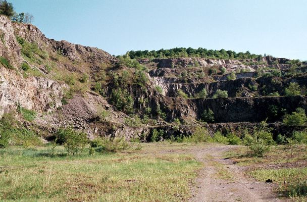 Vinné, 15.5.2006
Lom Šutová - marné hledání kovaříka Anostirus atropilosus. 
Schlüsselwörter: Vinné Vihorlat Šutová