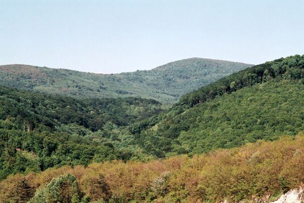 Vinné, 15.5.2006
Lom Šutová - marné hledání kovaříka Anostirus atropilosus. V pozadí Vihorlatské hory a vrch Kyjov.
Klíčová slova: Vinné Vihorlat Šutová Kyjov