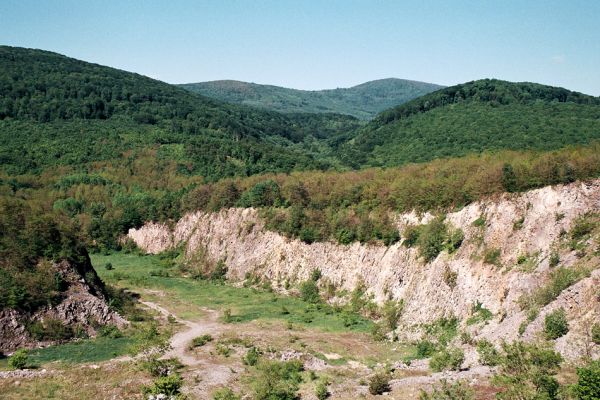 Vinné, 15.5.2006
Lom Šutová - marné hledání kovaříka Anostirus atropilosus. V pozadí Vihorlatské hory a vrch Kyjov.
Schlüsselwörter: Vinné Vihorlat Šutová Kyjov