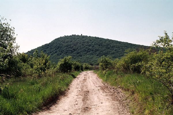 Vinné, 15.5.2006
Viniansky hrad - polní cesta od obce Vinné.
Klíčová slova: Vinné Viniansky hrad