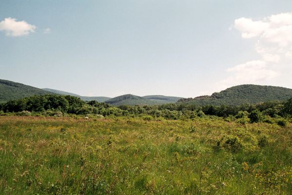 Vinné, 15.5.2006
Pohled od úpatí Vinianskeho hradu na severovýchod na vrch Šutová.
Keywords: Vinné Vihorlat Šutová