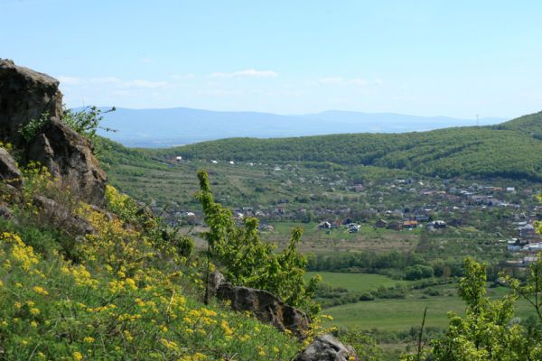 Vinné, 16.4.2007
Pohled z Vinianskeho hradu na východ na obec Vinné.
Schlüsselwörter: Vinné Viniansky hrad Dicronychus rubripes