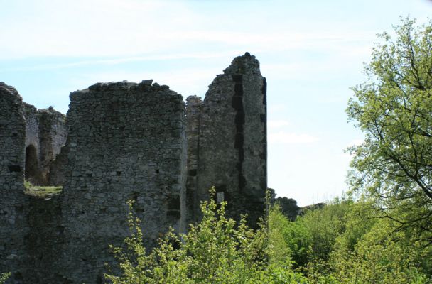 Vinné, 16.4.2007
Viniansky hrad. 
Schlüsselwörter: Vinné Viniansky hrad Cardiophorus gramineus